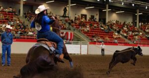 Breakaway Roping Calgary Stampede