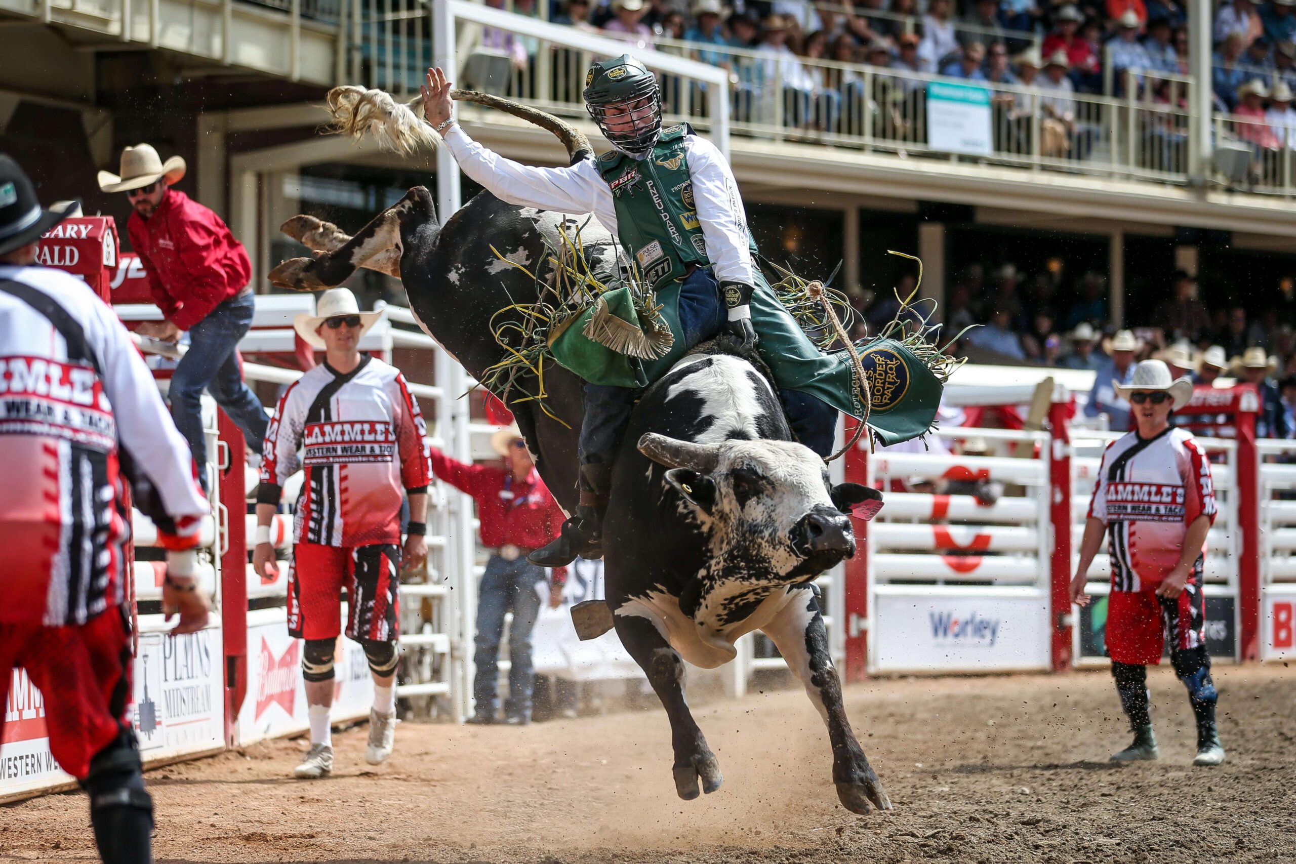 Bull Riding Calgary Stampede Covy Moore