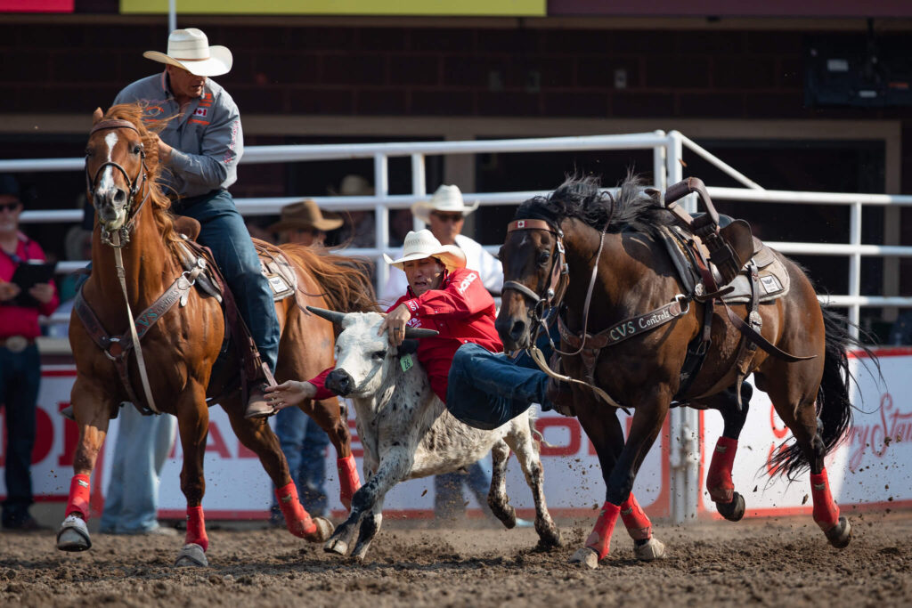 Steer Wrestling Calgary Stampede