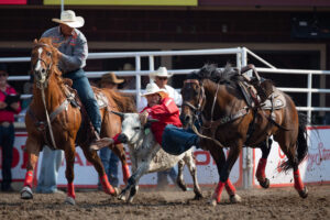 Steer Wrestling Calgary Stampede