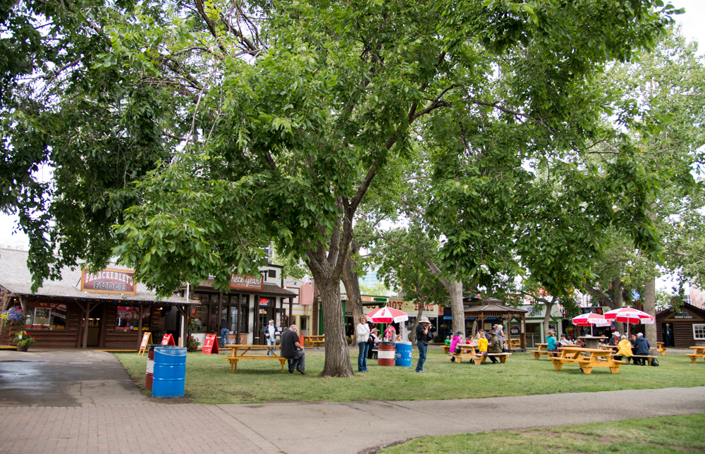 Weadickville Calgary Stampede Julya Hajnoczky