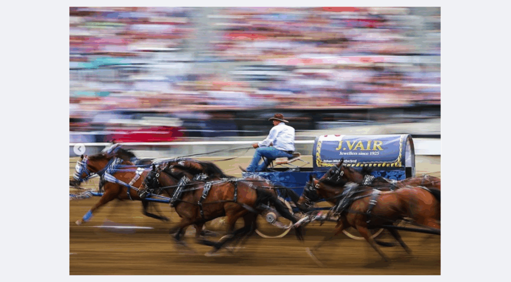 Chuckwagon Racing Calgary Stampede